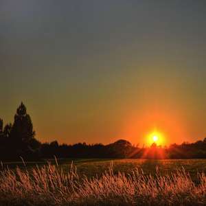 푹 잠든 시간속의 피아노