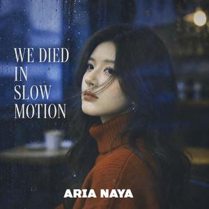 We Died in Slow Motion