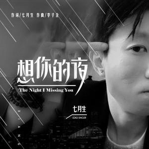 想你的夜 伴奏
