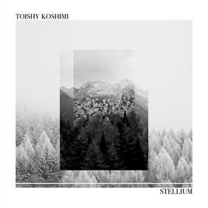 Toishy Koshimi - Tenth House
