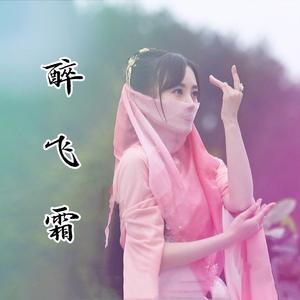 醉飞霜
