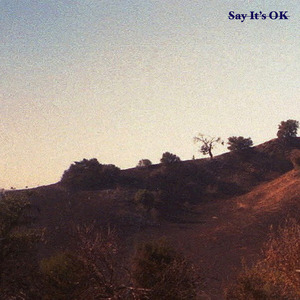 Say It's OK