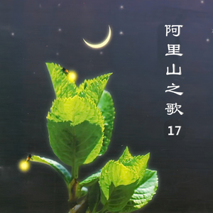 你的柔情我永远不懂