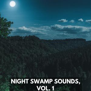 Pacific Ocean At Miami