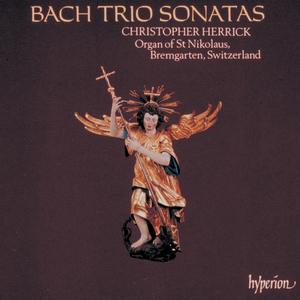 Organ (Trio) Sonata No. 4 in E Minor, BWV 528: II. Andante