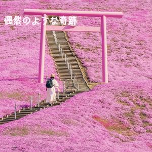 偶然のような奇跡