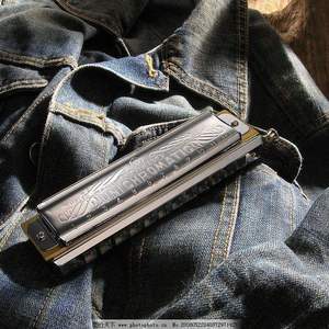 旅行青蛙（半音阶口琴）