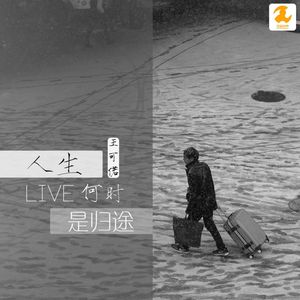 人生何时是归途(DJ版)