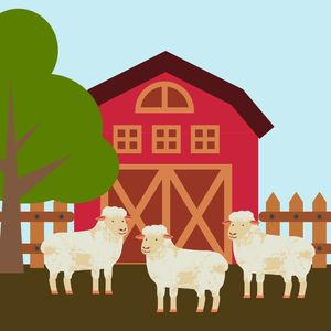 诗意的快乐宝贝节奏