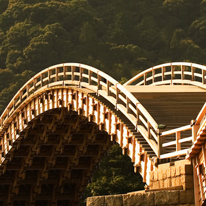 你羞涩的拍下的相片纸