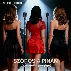Szőrös a pinám (Acapella Version)