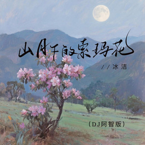 山月下的索玛花 (DJ阿智版)