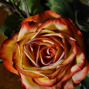 WAVES feat. DeZay / Smokk Flo (feat. Smokk Flo)