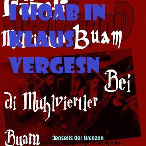 Fünf Mühlviertler Buam I hoab in Klaus Vergessen