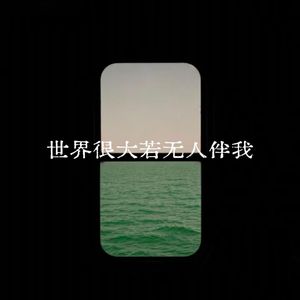 世界很大若无人伴我