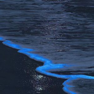 走之后（prod.AZYAIRE)