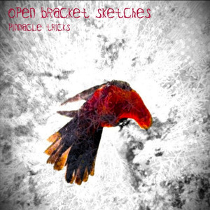 Electric Ice (Sudden Shock of the Cold)