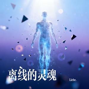 离线的灵魂