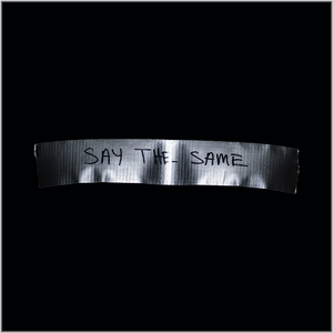 Say the Same