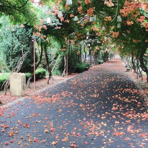 龙脊同胞