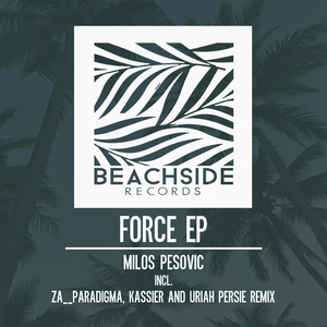 Force (Original Mix)