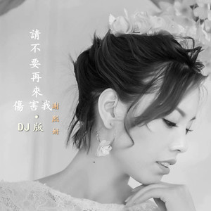 谢熙妍-请不要在来伤害我-DJ版