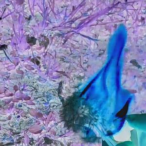 彼女の隣で眠りにつく