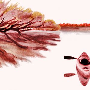 Gliding Beneath the Azure Sky