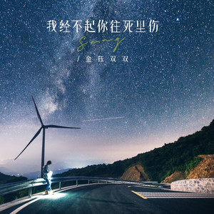 我经不起你往死里伤