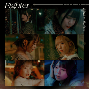 Fighter