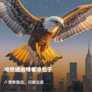 鹰隼甄选闪耀出道