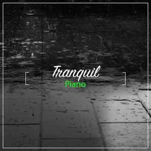 Beethoven's Sonata No 5 in C Minor Op 10 No 1 II Adagio Molto