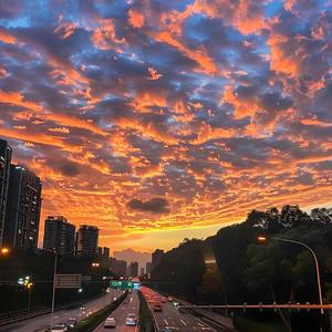 绽放的希望 (20)