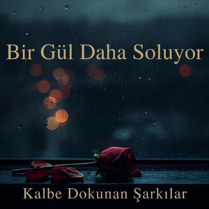 Bir Gül Daha Soluyor