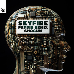Skyfire