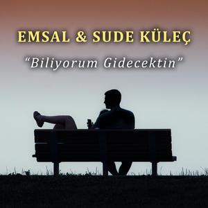 Biliyorum Gidecektin (feat. Sude Küleç)