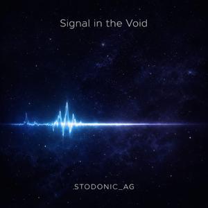 Signal In The Void