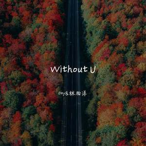 Without U （Prod.Bizy）