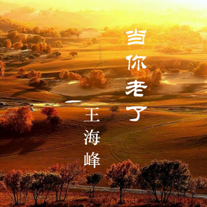 当你老了(王海峰)