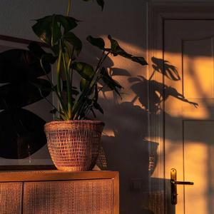 爱就一个字（翻自 张信哲）