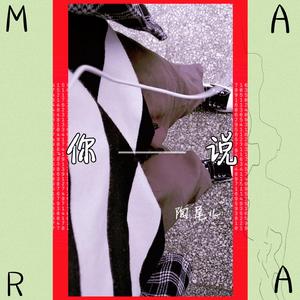你说（伴奏）