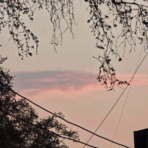 巴彦淖尔的风吹到了邯郸