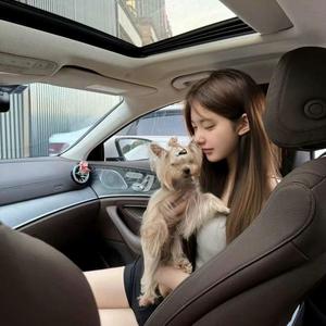 情话我听不进去