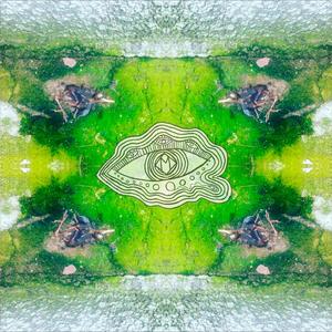 Gentrify (the City of Sisterly Loss)