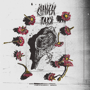 El Repentino Despertar de la Consciencia