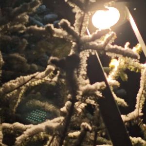 世界上的另一个我【我】