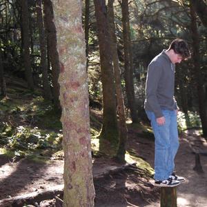 Want Me (Original Version)