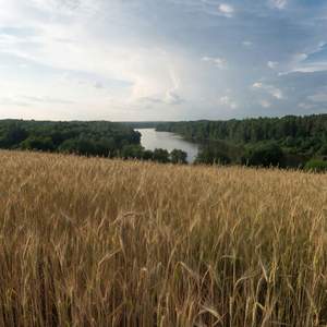 Ой да трава зелена