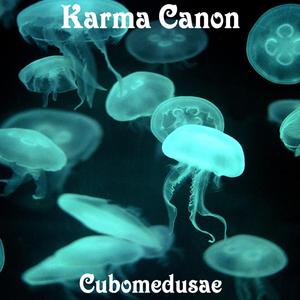 Cubozoa