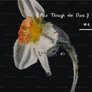 Rise Through the Dark A